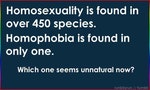 演化生物學者：同性戀為自然現象，但恐同症則是超自然現象