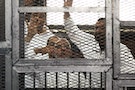 4月宣判529名穆斯林兄弟會成員死刑 埃及法官今日再判死700人