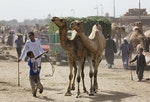Mideast Egypt MERS and Camels