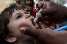 CIA「疫苗戰術」捉賓拉登 導致全球小兒麻痺激增
