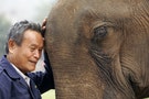 「萬象之國」僅剩不到千頭：神獸不敵金錢誘惑，60年後寮國大象將滅絕