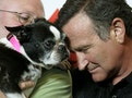 Actor Robin Williams, star of the film "World's Greatest Dad", greets Mabel, a Boston Terrier featured in the film, at the film's premiere in Los Angeles
