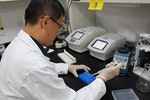 台大獸醫專業學院教授廖慶泰以DNA篩檢犬先天或遺傳疾病。　何宜/攝︱台灣動物新聞網