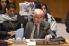 安理會表決美國強力反對 巴勒斯坦獨立建國案闖關失敗