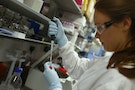 Research assistant Georgina Bowyer works on a vaccine for Ebola at The Jenner Institute in Oxford