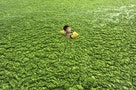 【圖輯】中國汙染紀實》請問習大大...這是您要留給孩子的「金山綠水」？