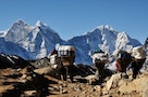 【影片】登上世界之頂 尼泊爾高山村民的美麗與哀愁