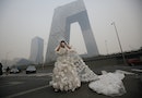 Wider Image: Beijing's Battle for Fresh Air