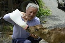 「動物的救世主」：不懼福島核電輻射，四年來他一個人留下來照顧受災動物
