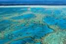 飽受開發案威脅 「瀕危世界遺產」大堡礁仍未上榜