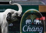 一台上面有著大象啤酒廣告標誌的市區公車，經過豎立在曼谷市中心街道的大象雕像。為了遏制未成年人飲酒，泰國已在2007年禁止當地電視、雜誌等媒體播放酒類廣告。攝於2009年12月21日。Photo Credit：AP/ 達志影像