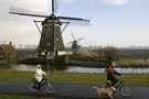 「單車王國」荷蘭研究：每週騎單車75分鐘，平均壽命多6個月