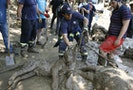 Rescue workers drag a dead tiger at the zoo in Tbilisi