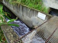 溪水染紫！潤泰全球楊梅二廠偷排廢水再次被抓包