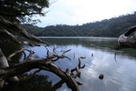 大鬼湖為魯凱族之聖地，周遭植被以鐵杉、森氏櫟、昆欄樹、台灣杜鵑為主（柯金源攝）