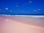 粉紅沙灘Pink Sands Beach