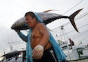 A fisherman carries a yellowfin tuna out of his boat at the fishing port of Donggang, Pingtung county, southern Taiwan