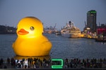 黃色小鴨_People admire Rubber Duck giant floating sculpture (designed by Dutch artist Florentijn Hofman)