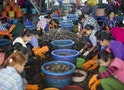 泰國「血汗蝦」輸出全球 緬勞童工工作16小時賺4美元