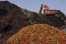 Startup Nipping Trillion Dollar Food Waste Problem in the Bud