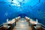 2 ithaa-undersea-restaurant