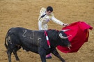 Victor Janeiro performs in a bullfight in Camarma of Esteruelas