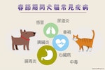 犬貓常見的疾病飼主可以透過預防來避免發生！　何宜/製圖│台灣動物新聞網