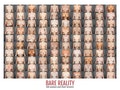 《赤祼真實：100個女人的乳房》解放媒體美化後真實的酥胸