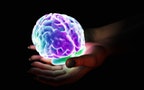 Hand holding a glowing brain