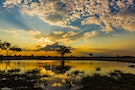 Twilight at a pond, Kwando Concession, Linyanti Marshes, Botswana.