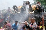 A man plays a trumpet while people are splashed by elephants with water during the celebration of the Songkran water festival in Thailand's Ayutthaya province
