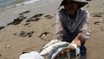 越南死魚案遭質疑  官員：台塑排水合格