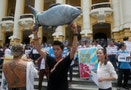 「要魚還是工業發展」引發反台塑抗爭：越南死魚事件是怎麼回事？