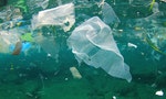 Will Taiwan’s New Plastic Bag Ban Work?