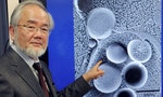 細胞自噬研究先驅 日學者大隅良典獨得諾貝爾醫學獎