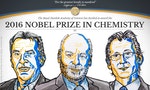設計世界最小「分子機器」　英法荷三學者奪諾貝爾化學獎