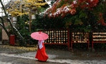不用再偷學別人，圖解日本神社怎麼拜與儀式由來