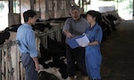 關鍵評論網_瑞穗鮮乳團隊全方位協助酪農提升牧場環境_產出更優質的鮮乳