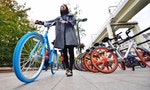 Are Bike-Sharing Schemes Running Riot?