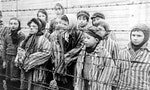 Child_survivors_of_Auschwitz