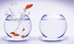 fishbowl jump innovation comfort zone
