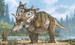 退休物理學家意外發現新品種恐龍化石　助探索7600萬年前的恐龍世界