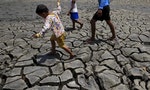 聖嬰現象導致東南亞旱災