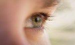 基因療法合併視覺刺激　科學家成功恢復失明小鼠部分視力