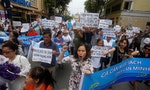 Formosa Plastics Admits Guilt for Mass Killing of Fish in Vietnam