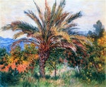 Palm_tree_at_Bordighera