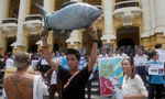 Formosa Plastics May Not Be Sole Culprit in Mass Fish Deaths in Vietnam