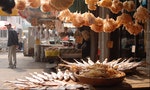 中國花膠市場「一吃兩命」，石首魚、鼠海豚雙雙瀕絕