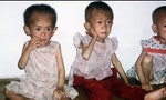 北韓饑荒最壞的時刻已經過去，因為「會死的全死光了」