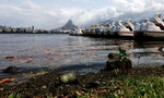 是什麼讓奧運選手聞之卻步？卡里歐卡河造就了里約，如今這條河反映出這座大都會渾濁的一面
